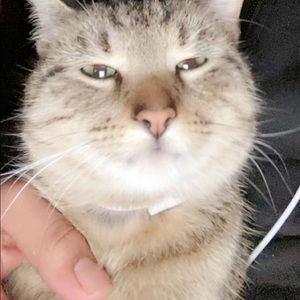 Meet your Posher, Melvyn